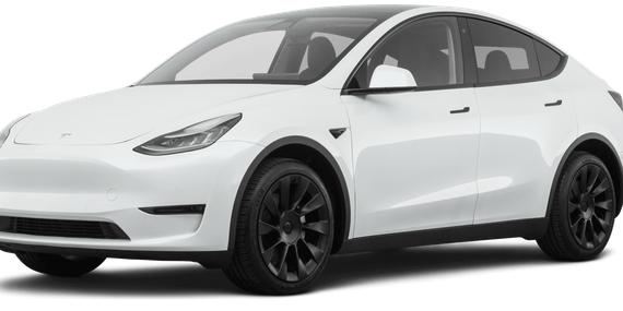 TESLA MODEL Y 2021 5YJYGDEE1MF262983 image